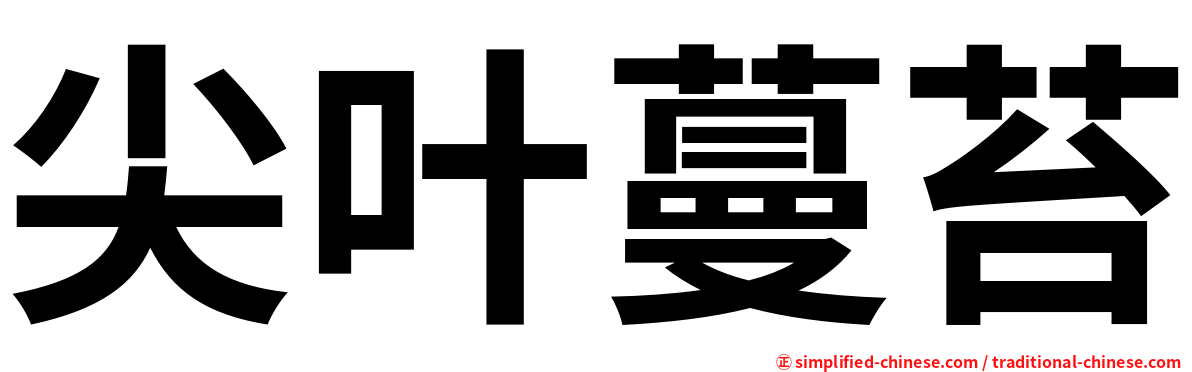 尖叶蔓苔