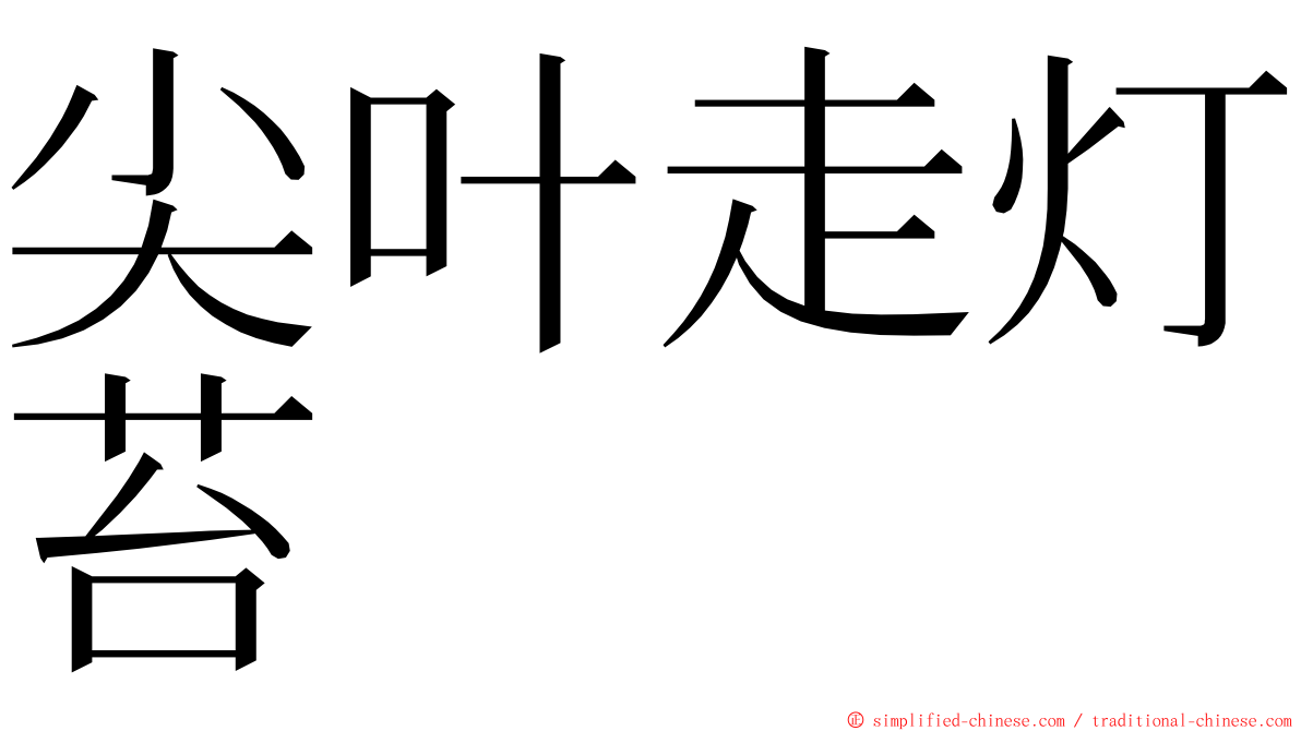 尖叶走灯苔 ming font