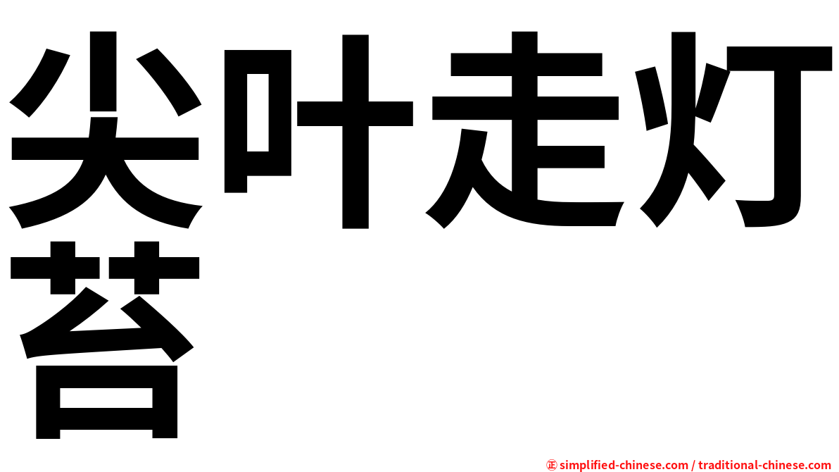 尖叶走灯苔