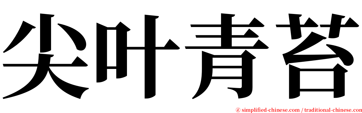 尖叶青苔 serif font
