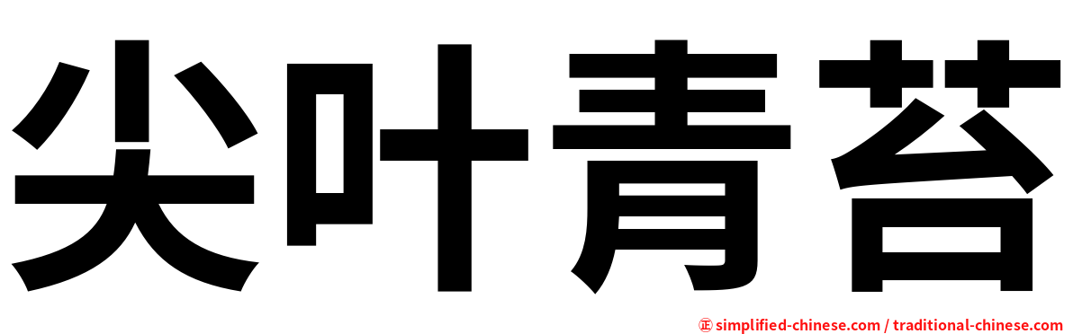 尖叶青苔