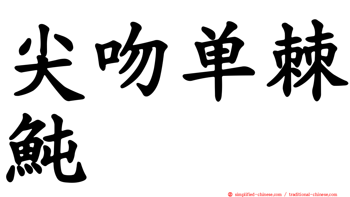 尖吻单棘鲀