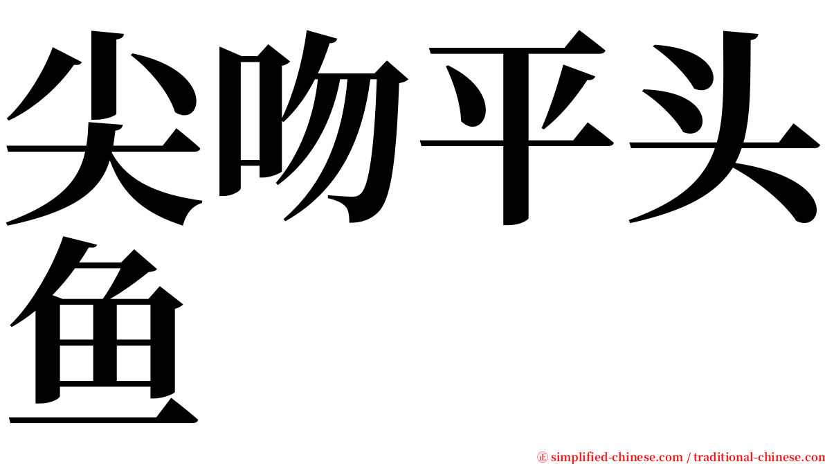 尖吻平头鱼 serif font