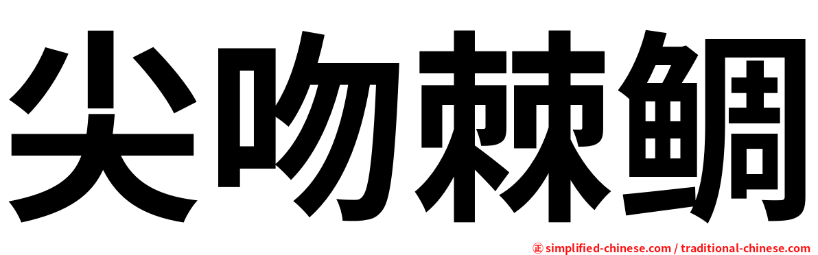 尖吻棘鲷
