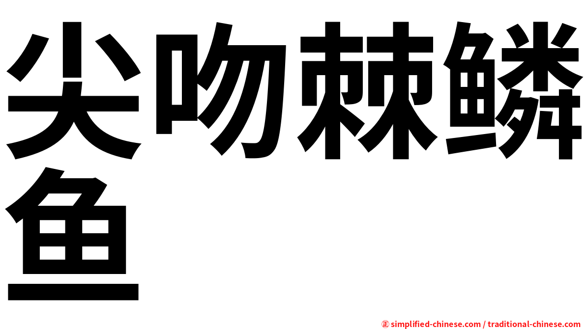 尖吻棘鳞鱼