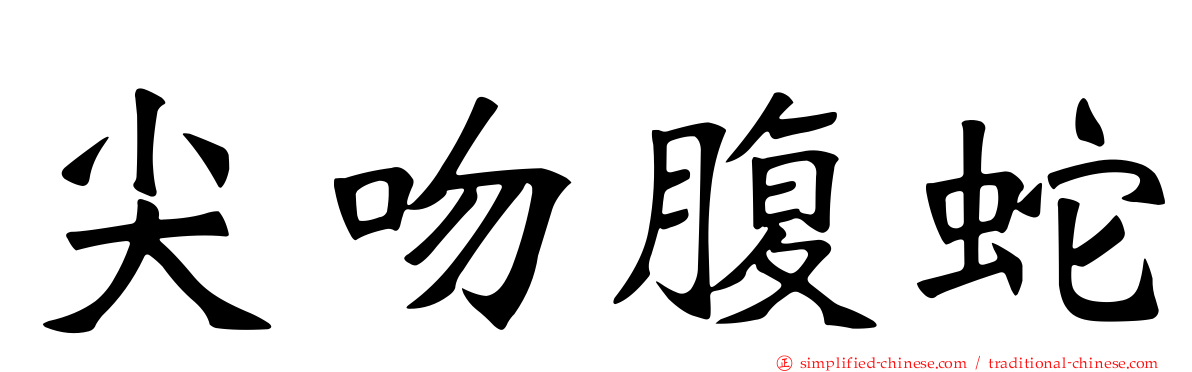 尖吻腹蛇