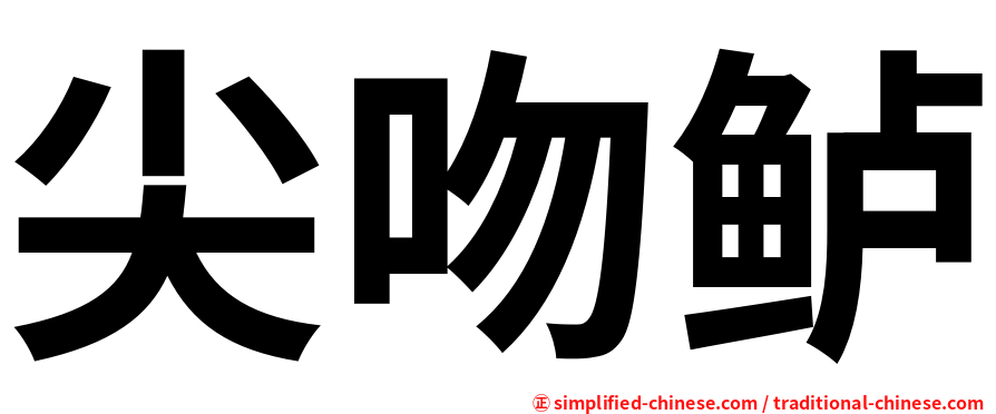 尖吻鲈