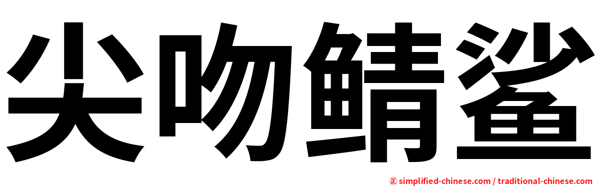 尖吻鲭鲨