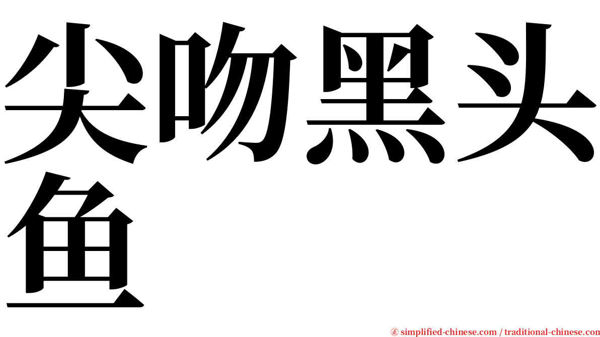 尖吻黑头鱼 serif font