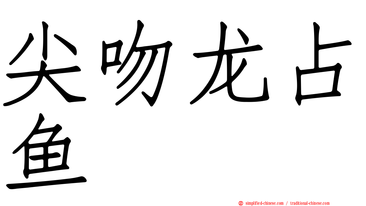 尖吻龙占鱼