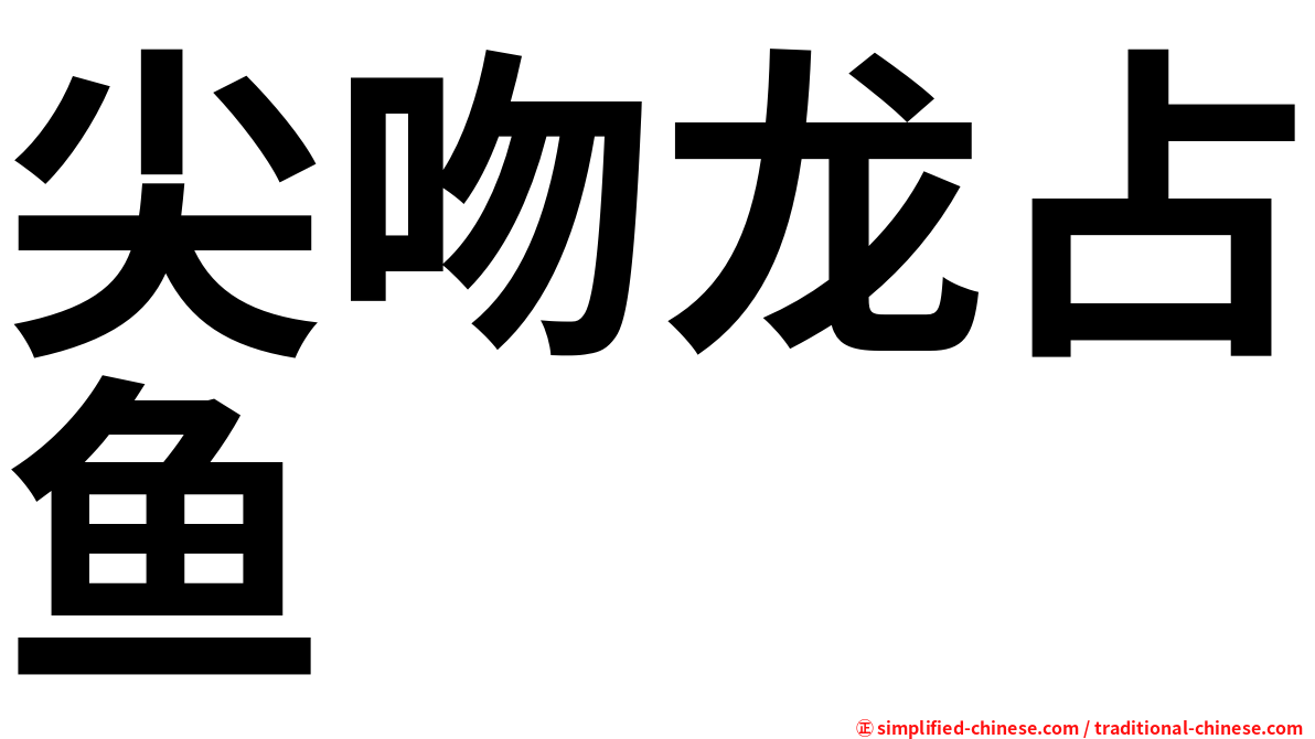 尖吻龙占鱼