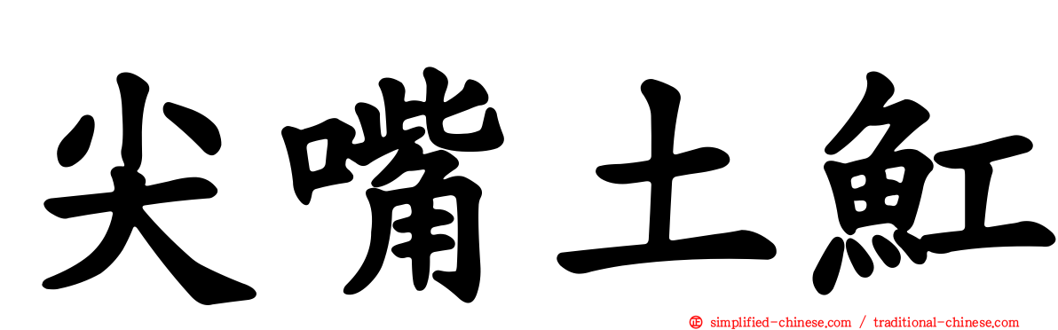 尖嘴土𫚉