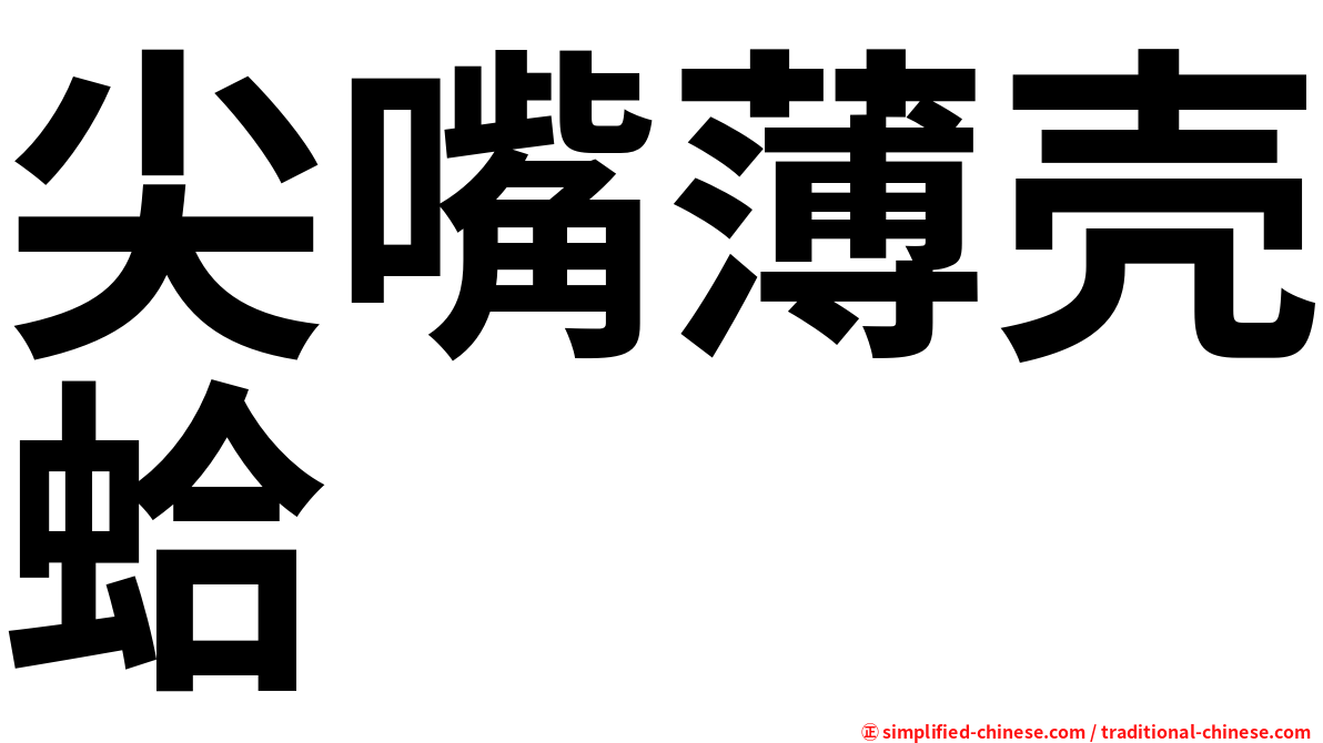 尖嘴薄壳蛤