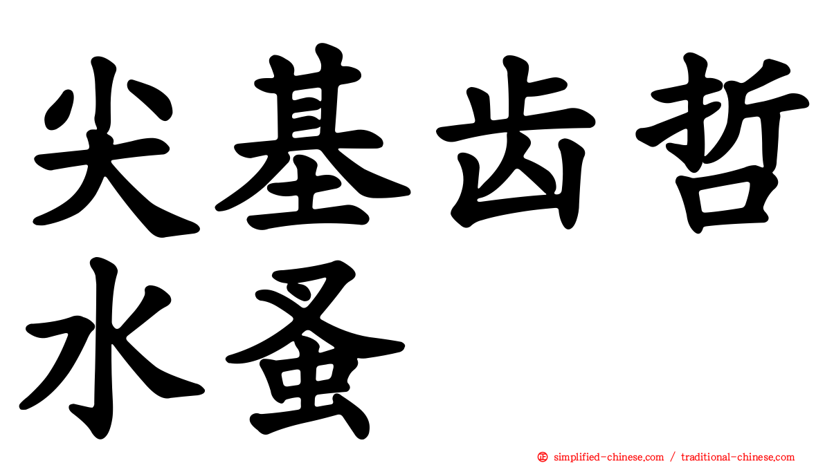 尖基齿哲水蚤