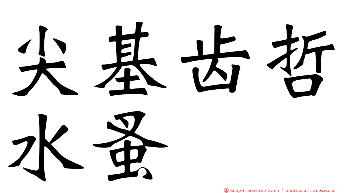 尖基齿哲水蚤