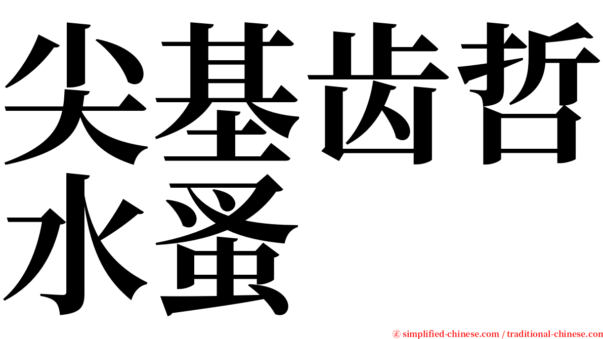 尖基齿哲水蚤 serif font