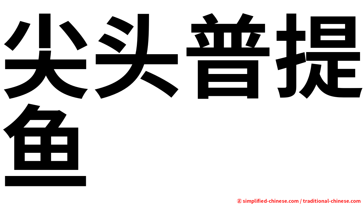 尖头普提鱼