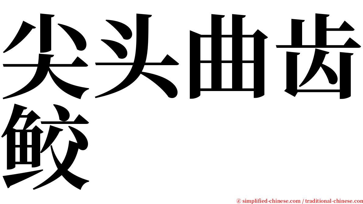 尖头曲齿鲛 serif font