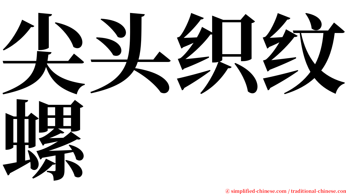 尖头织纹螺 serif font