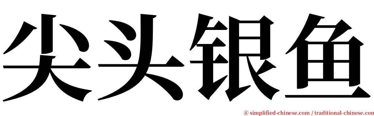 尖头银鱼 serif font
