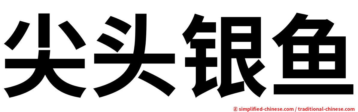 尖头银鱼