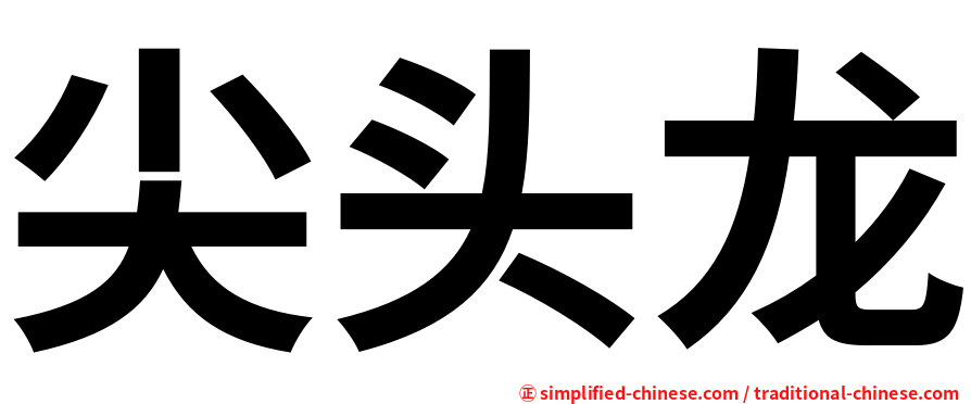 尖头龙