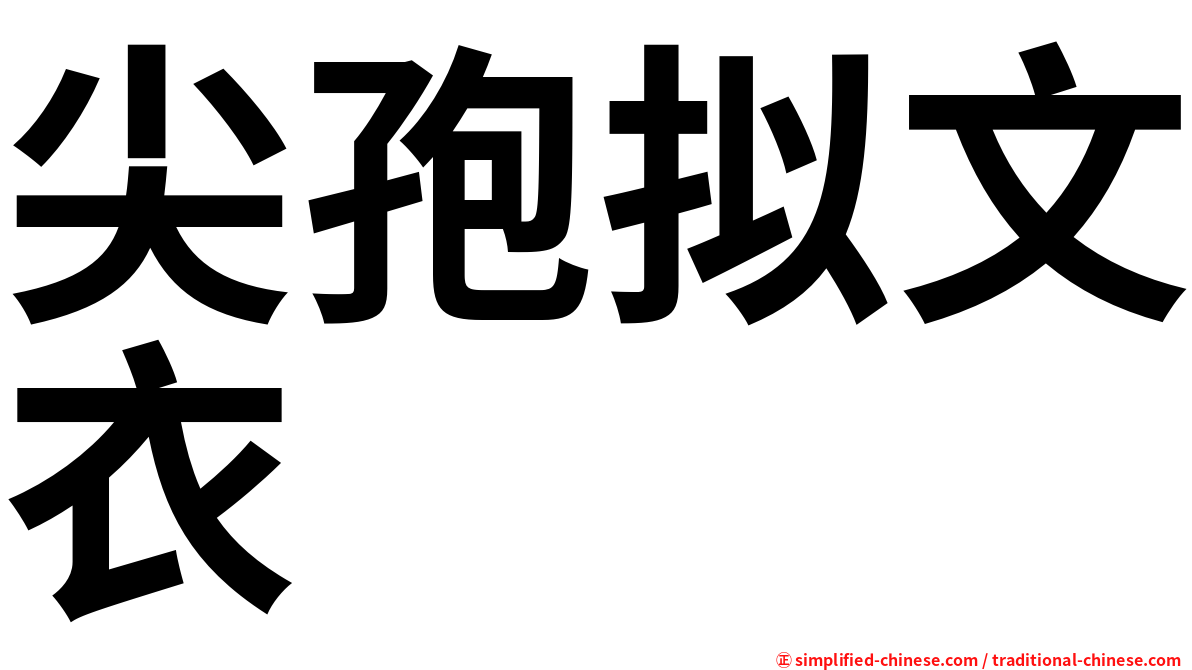尖孢拟文衣