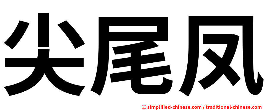 尖尾凤