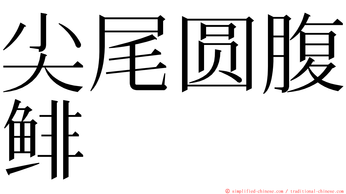 尖尾圆腹鲱 ming font