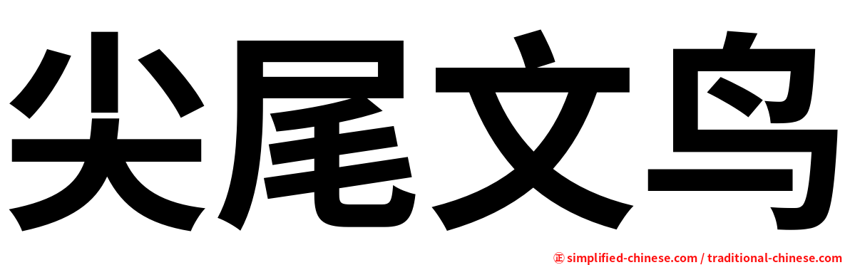 尖尾文鸟
