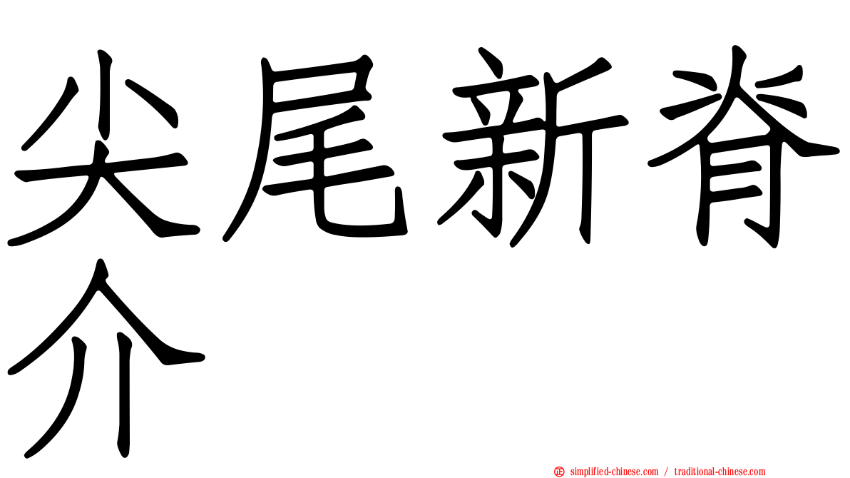 尖尾新脊介