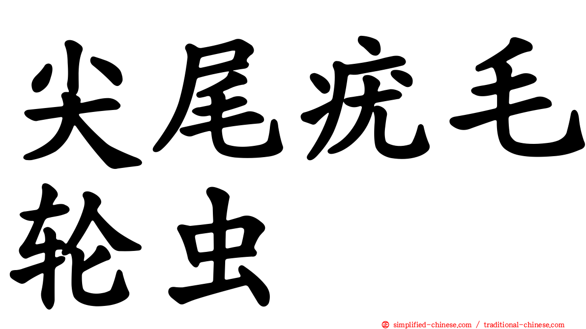 尖尾疣毛轮虫