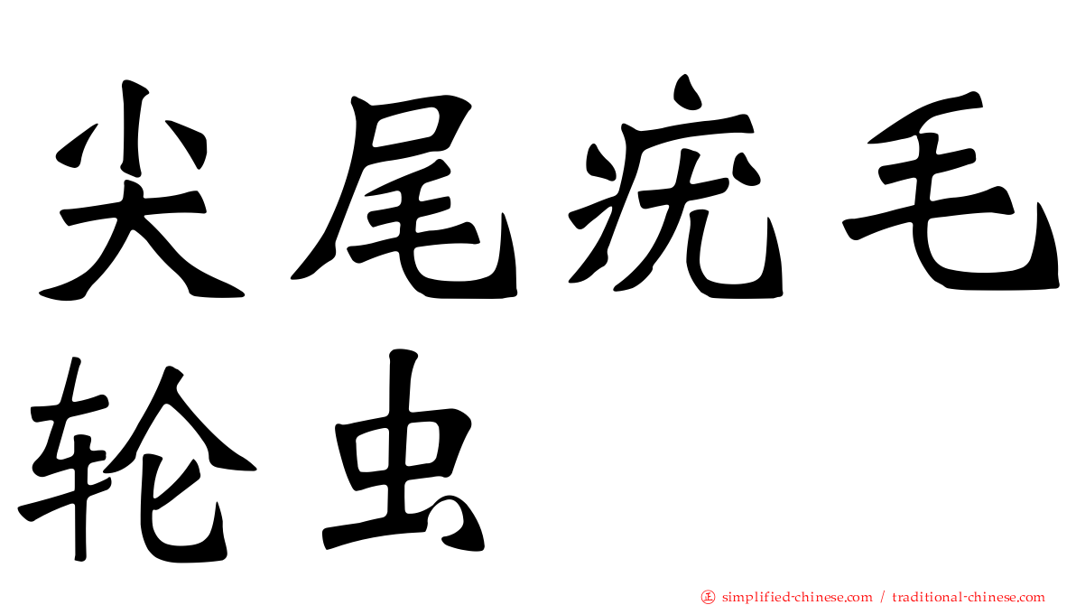 尖尾疣毛轮虫