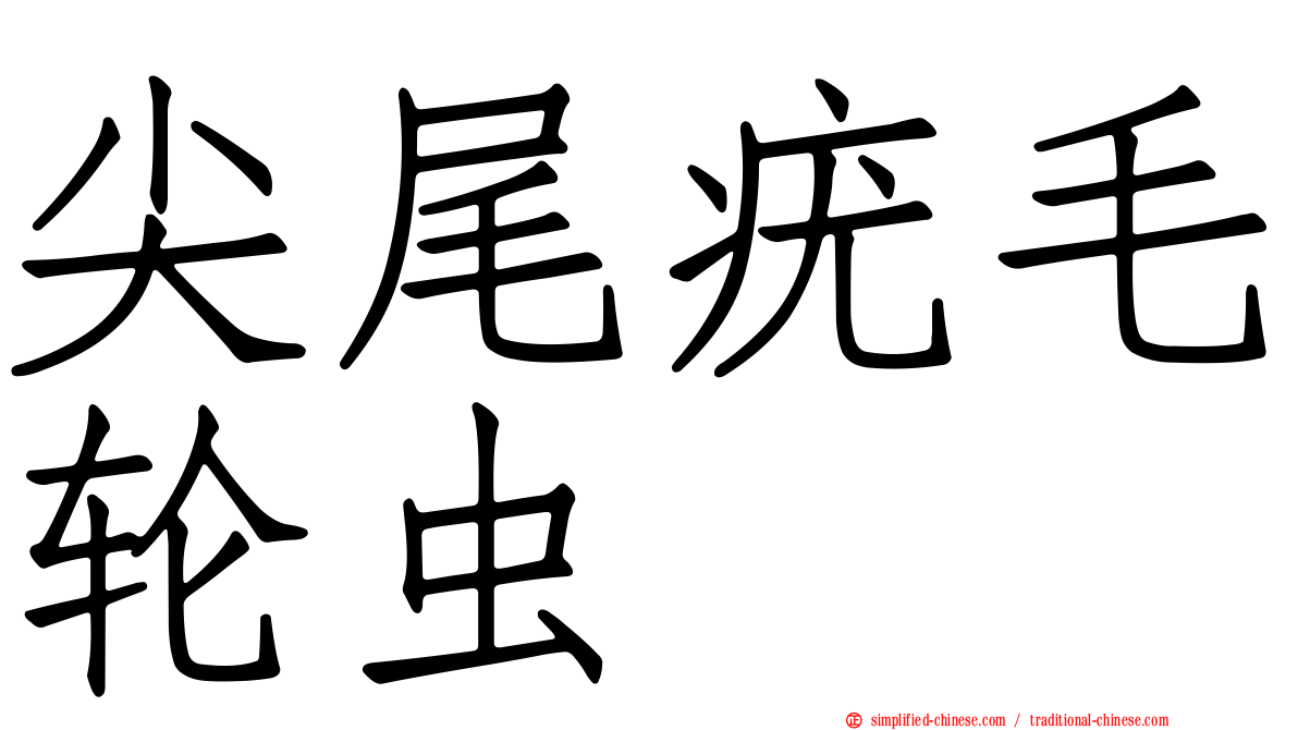 尖尾疣毛轮虫