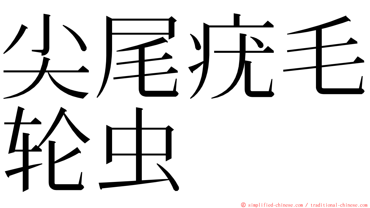尖尾疣毛轮虫 ming font