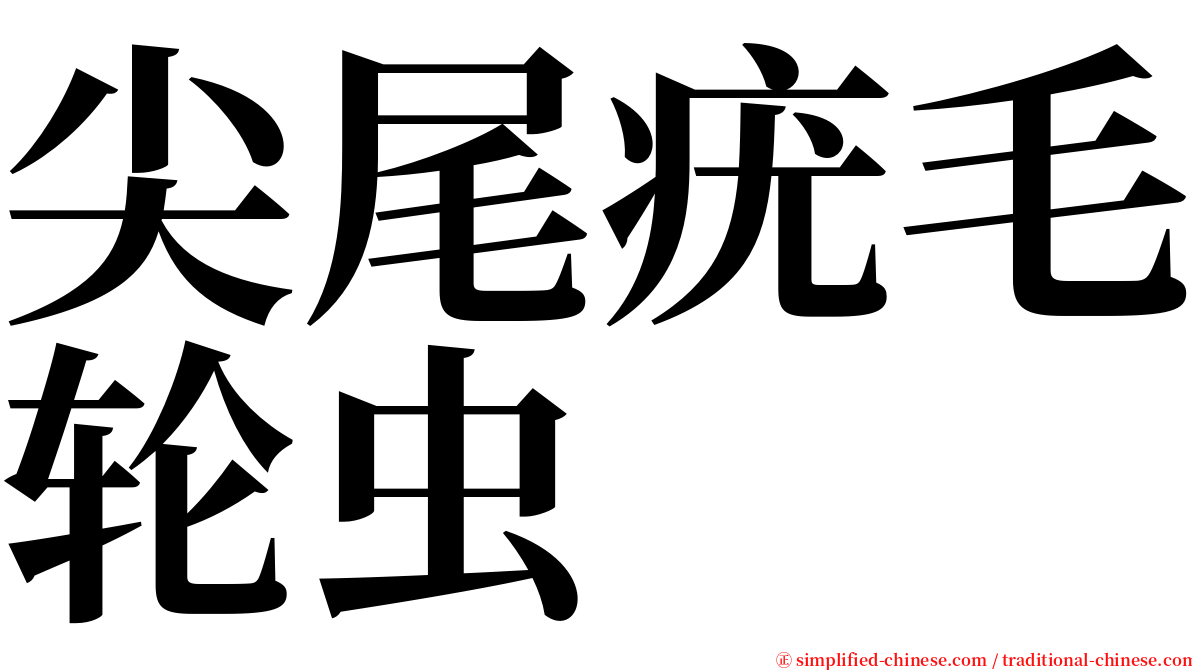 尖尾疣毛轮虫 serif font