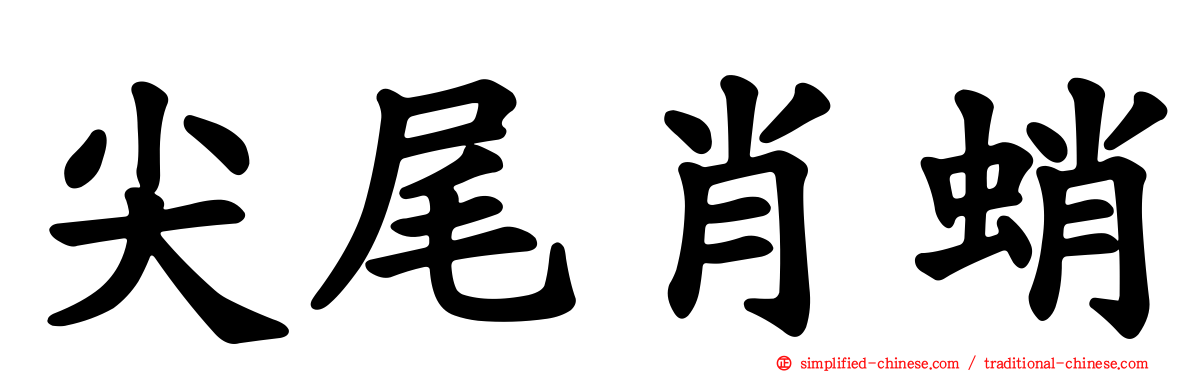 尖尾肖蛸