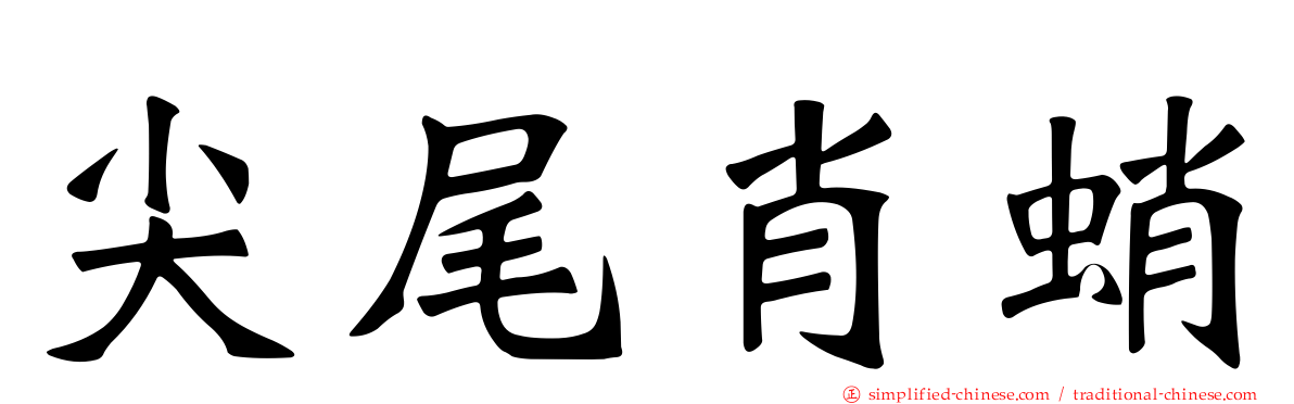 尖尾肖蛸