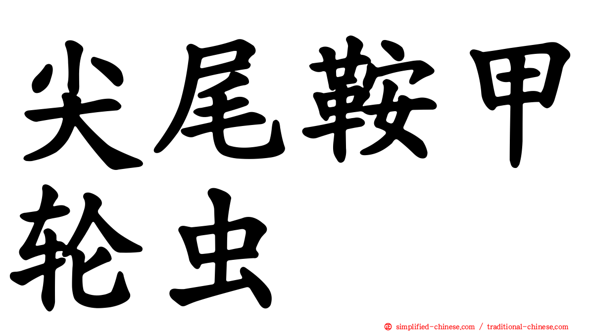 尖尾鞍甲轮虫