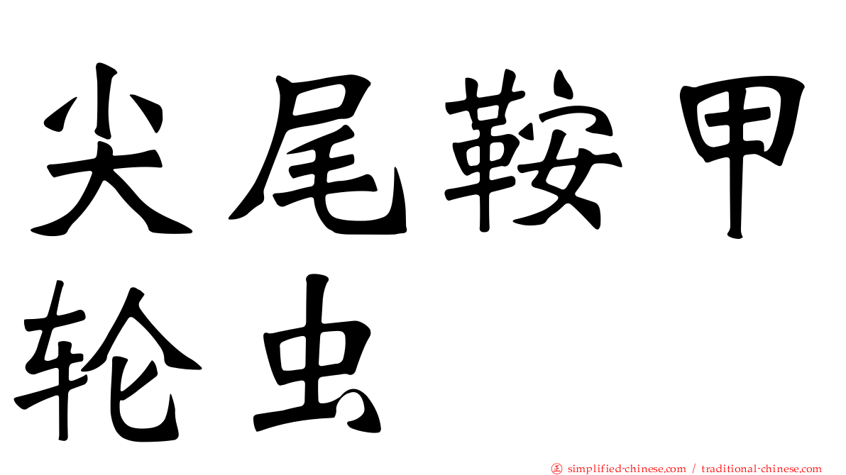 尖尾鞍甲轮虫