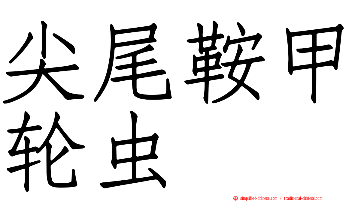 尖尾鞍甲轮虫