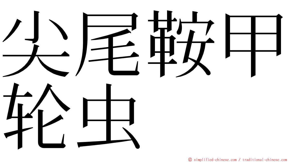 尖尾鞍甲轮虫 ming font