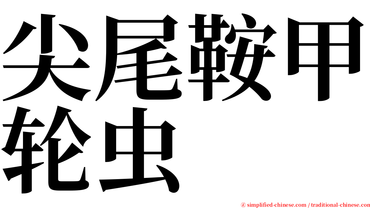 尖尾鞍甲轮虫 serif font