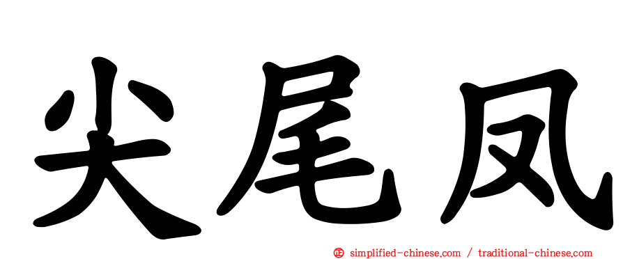 尖尾凤