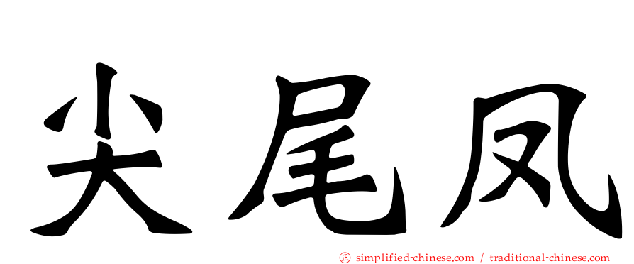 尖尾凤