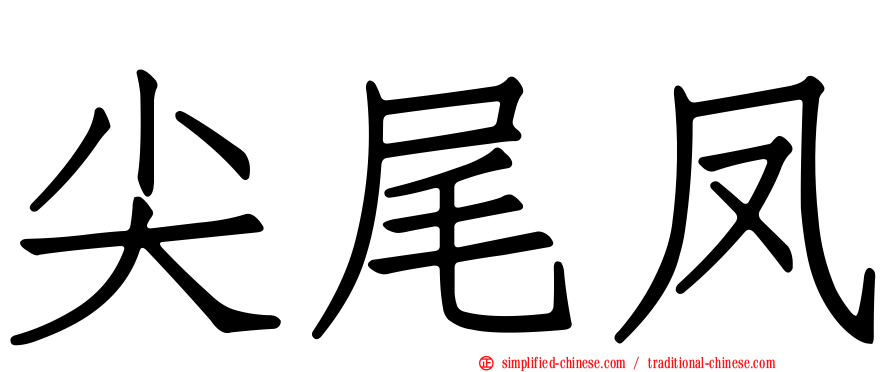 尖尾凤