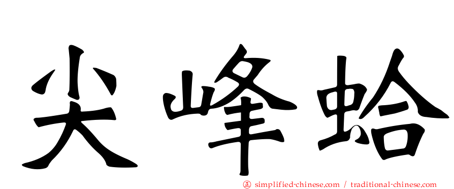尖峰蛤