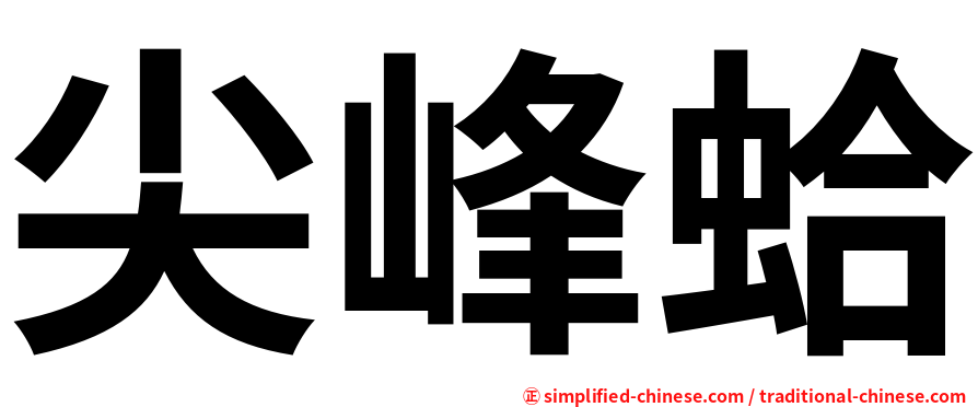 尖峰蛤