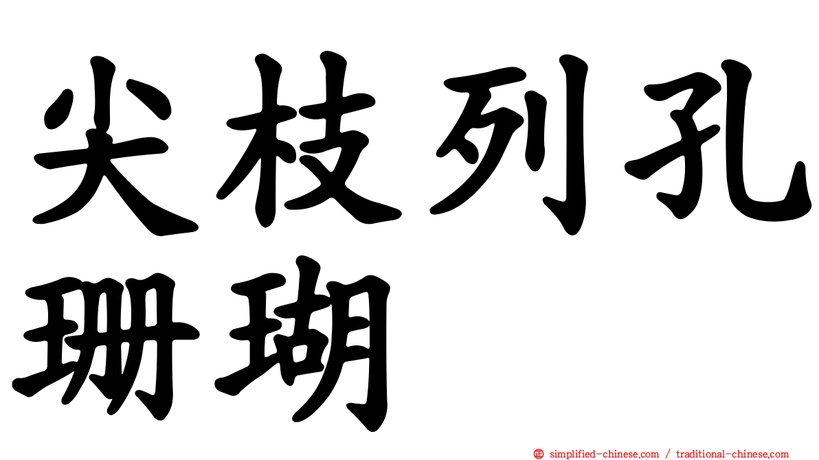 尖枝列孔珊瑚