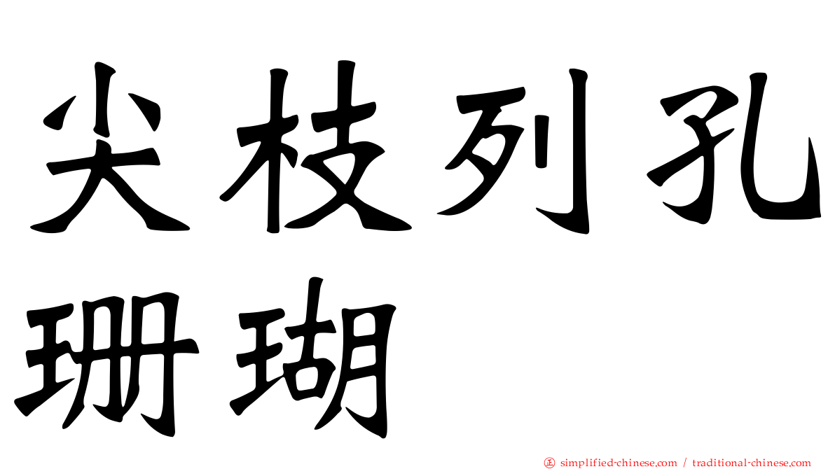 尖枝列孔珊瑚